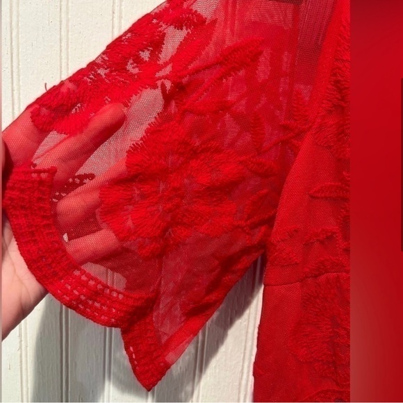 Pinkblush Red Lace Mesh Overlay Maxi Dress - Picture 6 of 10